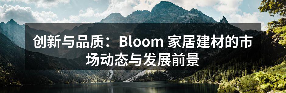 创新与品质：Bloom 家居建材的市场动态与发展前景